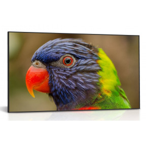 DynaScan DS751LT4 - Дисплей с диагональю 75 дюймов...